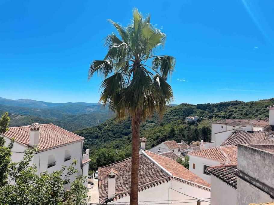 Benadalid La Palmera. Casa Rural Con Piscina Privada. מראה חיצוני תמונה