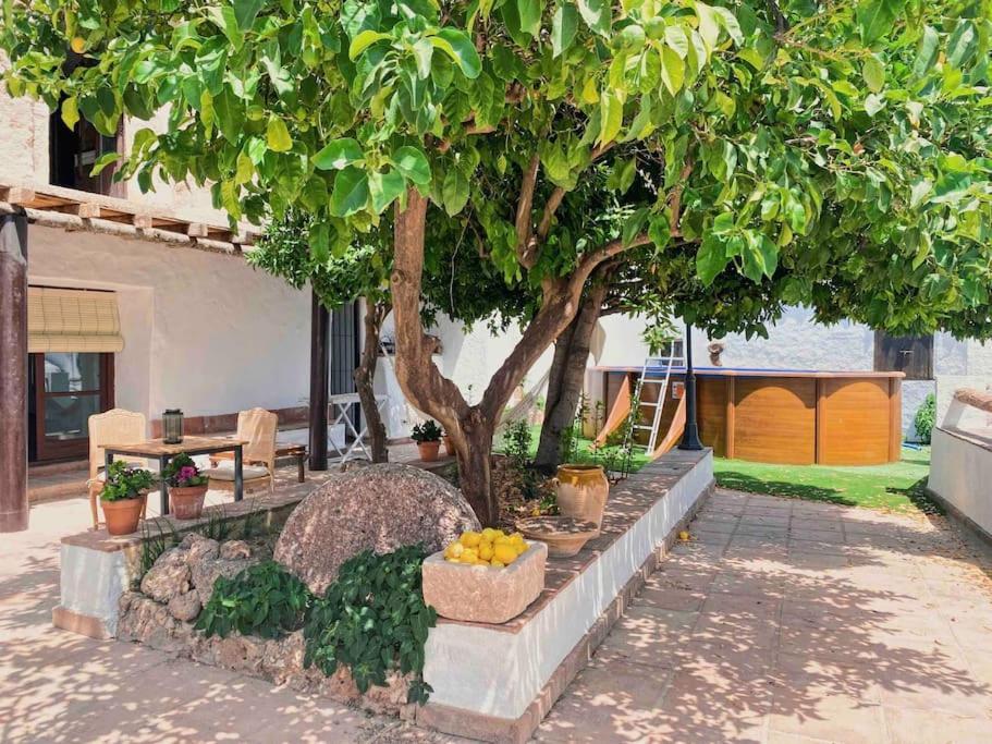 Benadalid La Palmera. Casa Rural Con Piscina Privada. מראה חיצוני תמונה